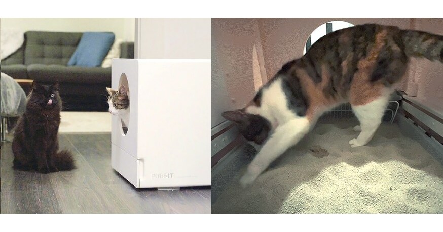 PURRIT Launches Spacious SCUBIC Self-Cleaning Litterbox