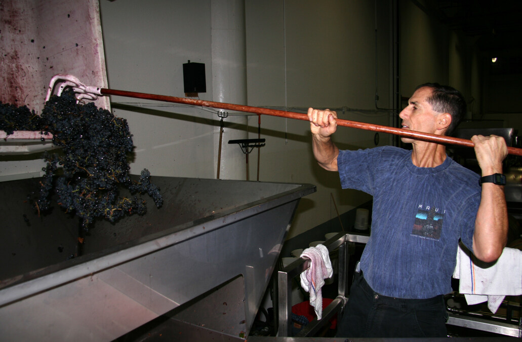 Vintage Philanthropy: Hollander Foundation Pours $20,000 into Prostate Cancer Research from Wine-Making Proceeds