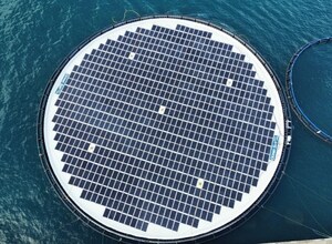 Long-Term Partners GCL SI and Ocean Sun Illuminate the BOOST Floating Solar Demonstrator in Spain