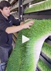 Surprise Viral Video Puts Spotlight on Tech-Driven Container Farms