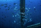 Arena Energy Creates an Artificial Reef at South Marsh Island 192 in the U.S. Gulf of Mexico