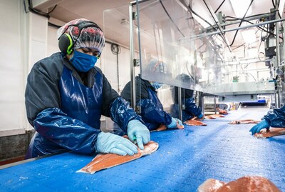 A worker filleting salmon in a processing facility.