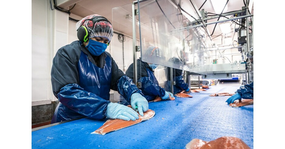 GSA Seeks Pilots for Seafood Processing Standard Issue 6.0