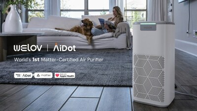 Fda certified online air purifier