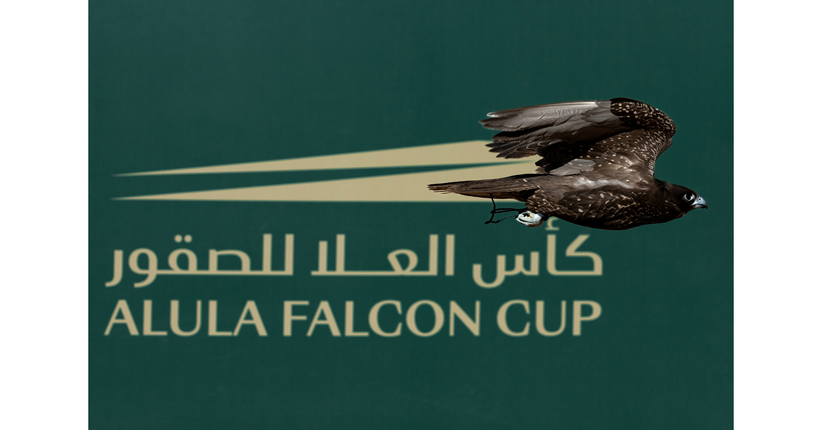 Inaugural AlUla Falcon Cup Celebrates Nine Days of Spectacular Heritage ...