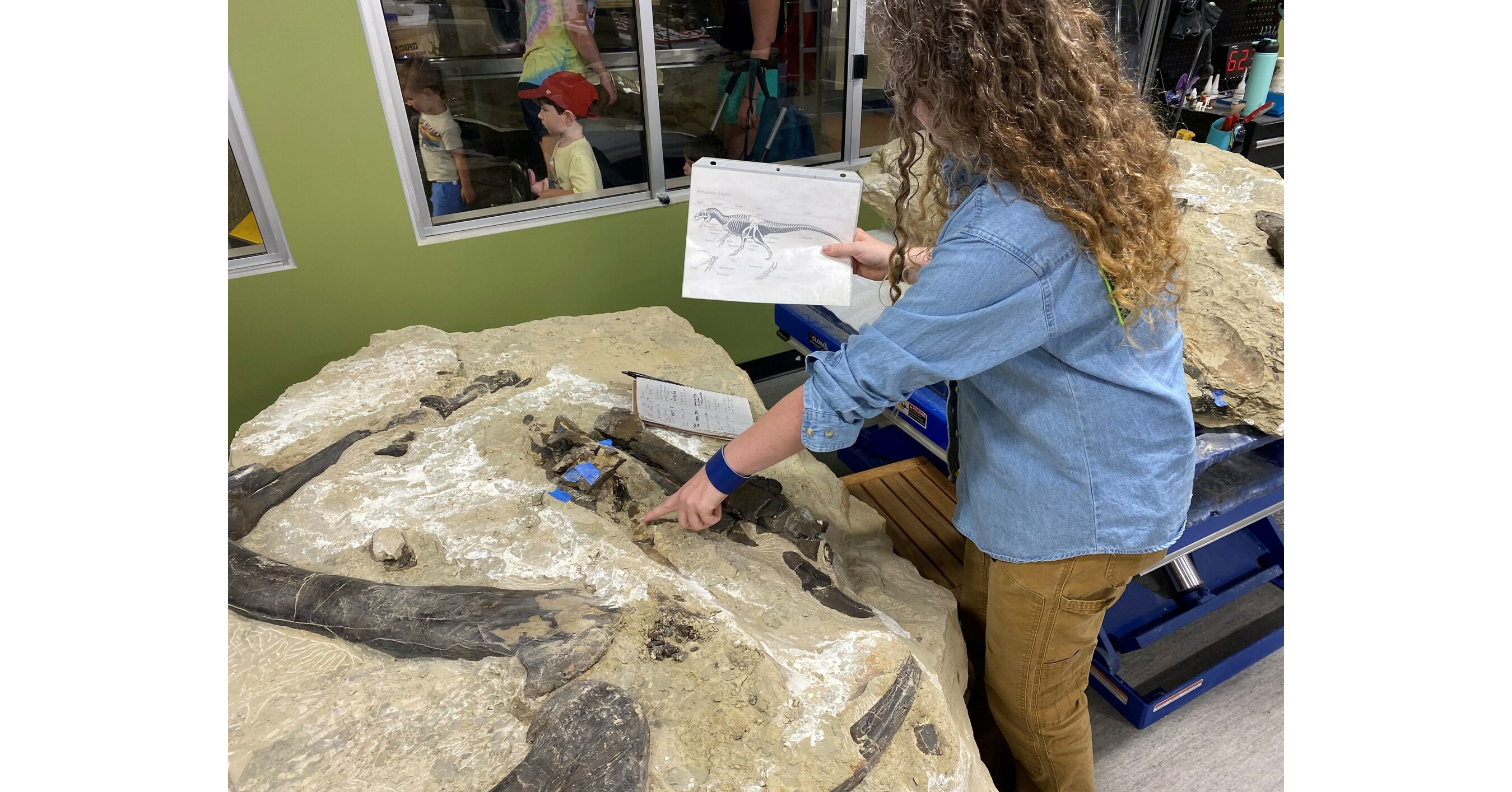 Groundbreaking Allosaurus Discovery Revealed at Jurassic Mile® Dig Site in Wyoming Is Now on Display at The Children's Museum of Indianapolis
