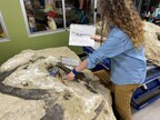 Paleontologist points to the area of the Allosaurus' that died 150 million years ago that they working to extract from stone.