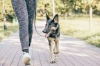 Celebrate the New Year and Walk Your Dog Month in Style with YuMOVE