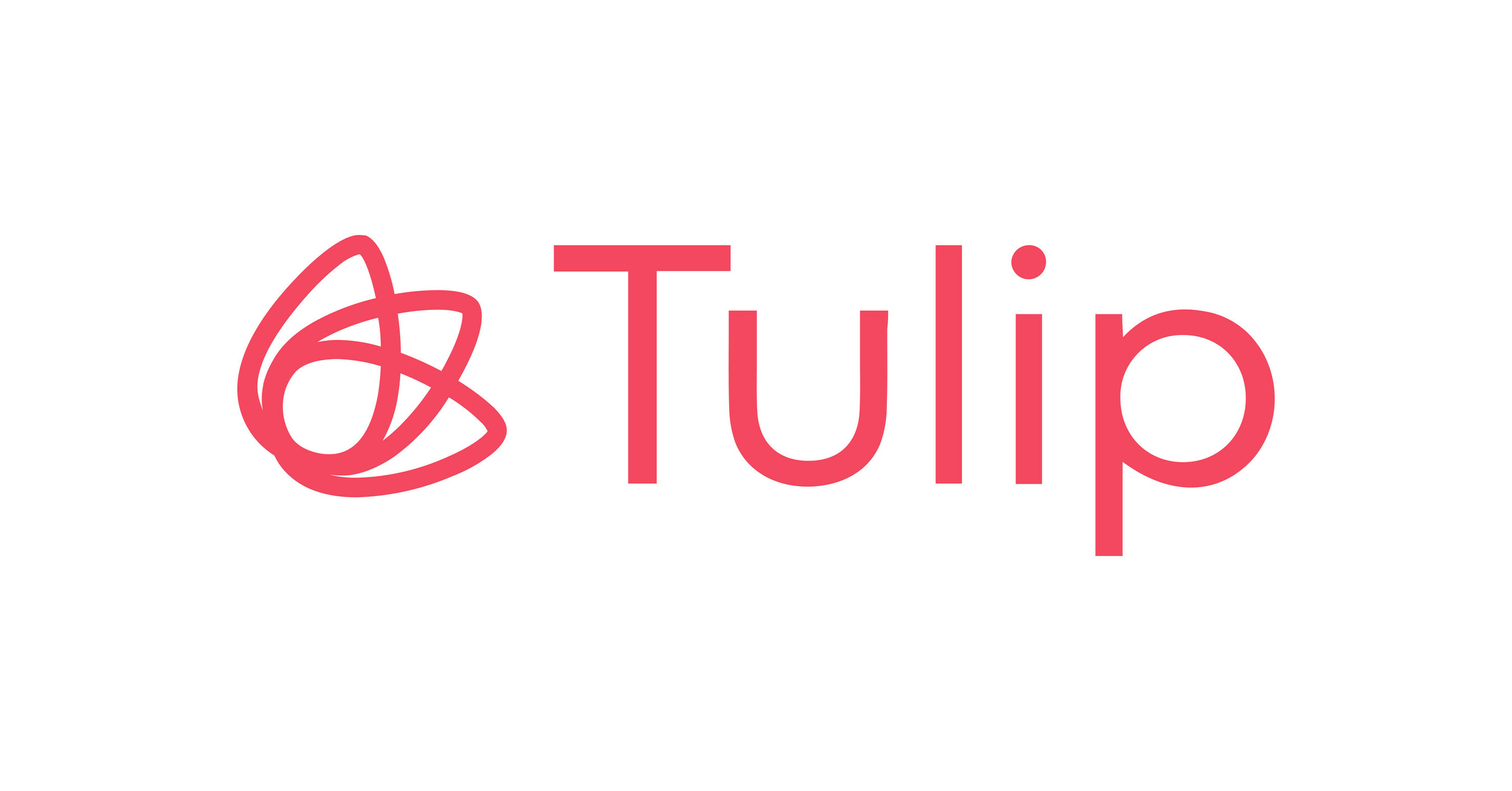 Tulip Appoints Ian Rawlins as New Chief Executive Officer