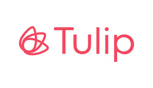 Tulip Appoints Ian Rawlins as New Chief Executive Officer