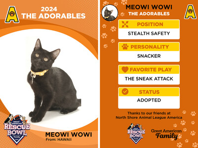 Great American Family presents Meowi Wowi from Hawai'i