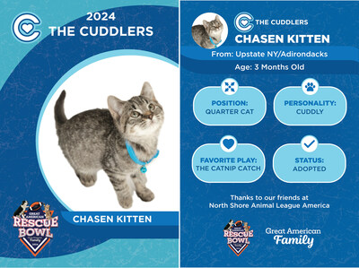 Great American Family presents Chasen Kitten