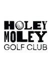 Holey Moley Golf Club, the craziest round of mini golf and fun-tainment venue coming to Austin in March 2024