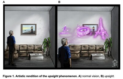 normal vision compared to Upsight vision