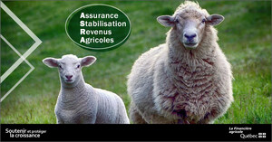 Programme d'assurance stabilisation des revenus agricoles - Second versement devancé en soutien aux producteurs d'agneaux