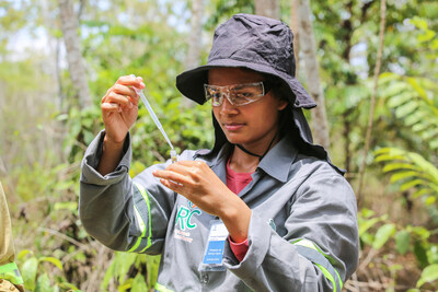 A researcher for BRC (BrazilNorway Biodiversity Research Consortium) collecting field samples to support understanding of biodiversity in the Hydro Paragominas area. (Source: Hydro)