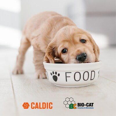 BIO-CAT, Inc., an industry leading probiotic manufacturer, has agreed to partner with global distribution solutions provider Caldic North America to bring their proprietary probiotic strains and OPTIFEED branded solutions to the Companion Animal Health and Nutrition market in North America.