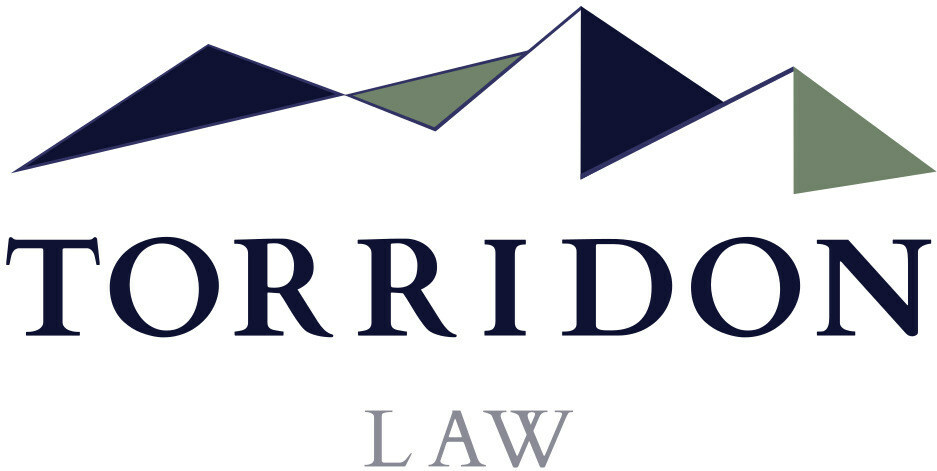 Paul T. Cappuccio Joins Leadership of Torridon Law PLLC