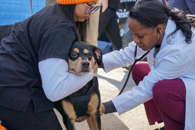 Atlanta Humane and Remedy partner with PAWKids to provide free veterinary care to pet parents on the Westside.