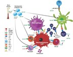 Comprehensive Review Highlights Importance of Leukine® in Combination with Anti-GD2 Immunotherapy for Treatment of High-Risk Pediatric Neuroblastoma