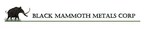 Black Mammoth Metals Announces Shares for Debt and Options Grant