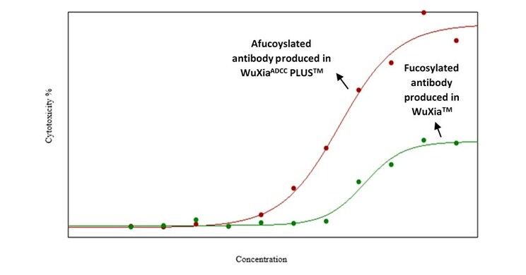 WuXi Biologics Launches WuXia ADCC PLUS&trade; for the Development and Manufacturing of Afucosylated Antibodies that Elicit Enhanced ADCC Effect