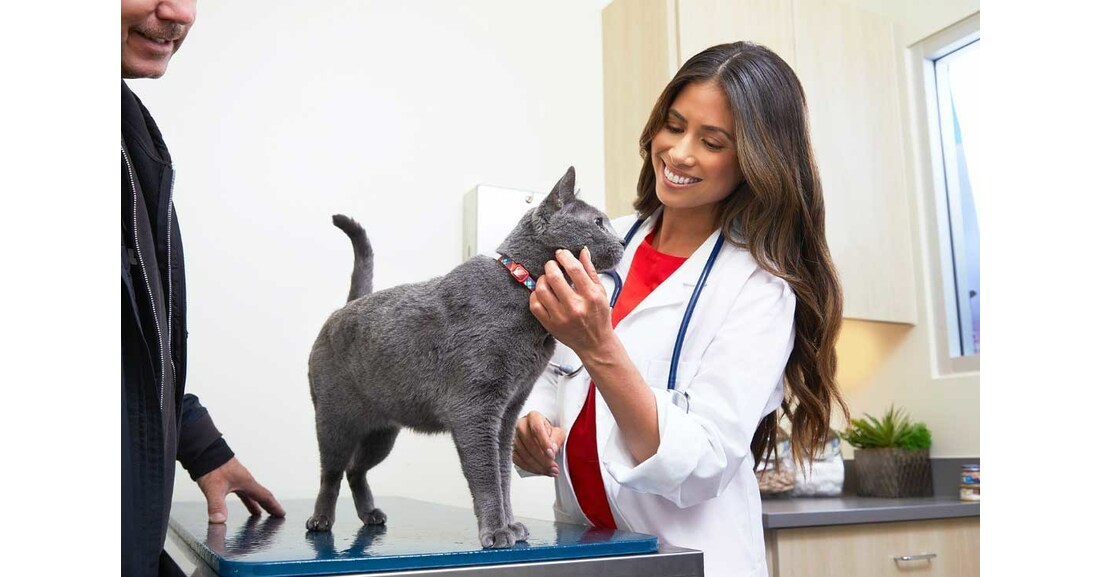 Petco and Nationwide® launch cobranded pet insurance product on