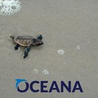 Colossal is proud to support Oceana
