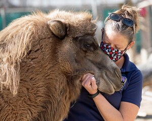 Denver Zoo Earns American Humane Certification for Animal Welfare