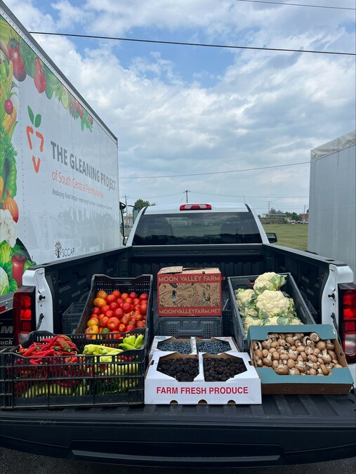 Organic Vegetable Farm Launches Donation Subscriptions with Non-Profit Partners to Increase Impact for those Living with Food Insecurity - Vimarsana News