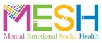 Inspirational MESH (Mental, Emotional, & Social Health) Accreditation Program Launches to Strengthen Youth Mental Health Through Play