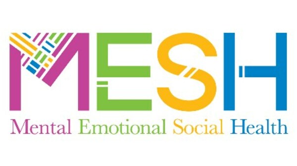 Inspirational MESH (Mental, Emotional, & Social Health) Accreditation Program Launches to Strengthen Youth Mental Health Through Play - Vimarsana News