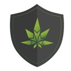 Industry-Disrupting Online Cannabis Seed Marketplace Launches in the United States