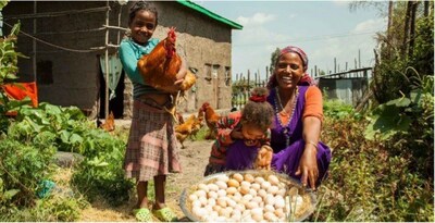 Hatch Africa Raises $9.5m from AgDevCo and IDH Farmfit Fund to Expand High-growth Poultry Business in Sub-Saharan Africa
