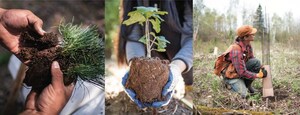 UNIQLO Partners with the Nature Conservancy to help plant 100,000 trees in vital forests across the U.S.