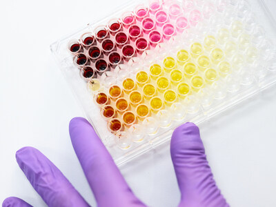 Phytolon and Ginkgo Bioworks Successfully Achieve First Milestone to Produce Vibrant Natural Food Colors via Two Producing Strains