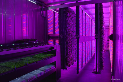 The Greenery’s main growing area features 88 plant panels and 112 LED panels. The LED panels are hyper-directionally focused on the plant canopy to prevent light waste and yield fuller, heavier crops in shorter time-frames.