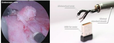 Miniaturized robotic instruments for endoluminal surgery