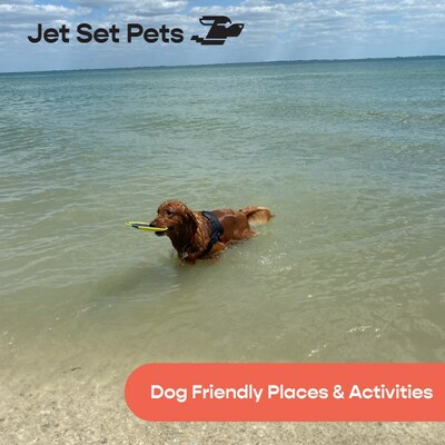 Jet Set Pets - Dog Friendly Places and Activities