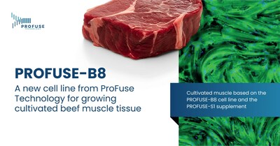 PROFUSE-B8 - a groundbreaking cell line for the cultivation of beef muscle (PRNewsfoto/Profuse Technology)