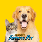 Furry Fame Awaits: Voting Is Now Open For America's Favorite Pet 2024