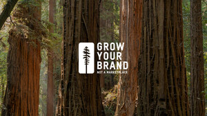 AnywhereWorks launches "Grow Your Brand, Not a Marketplace" campaign to celebrate the unique value of small businesses