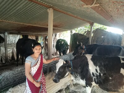 Modernizing Dairy Farming in India