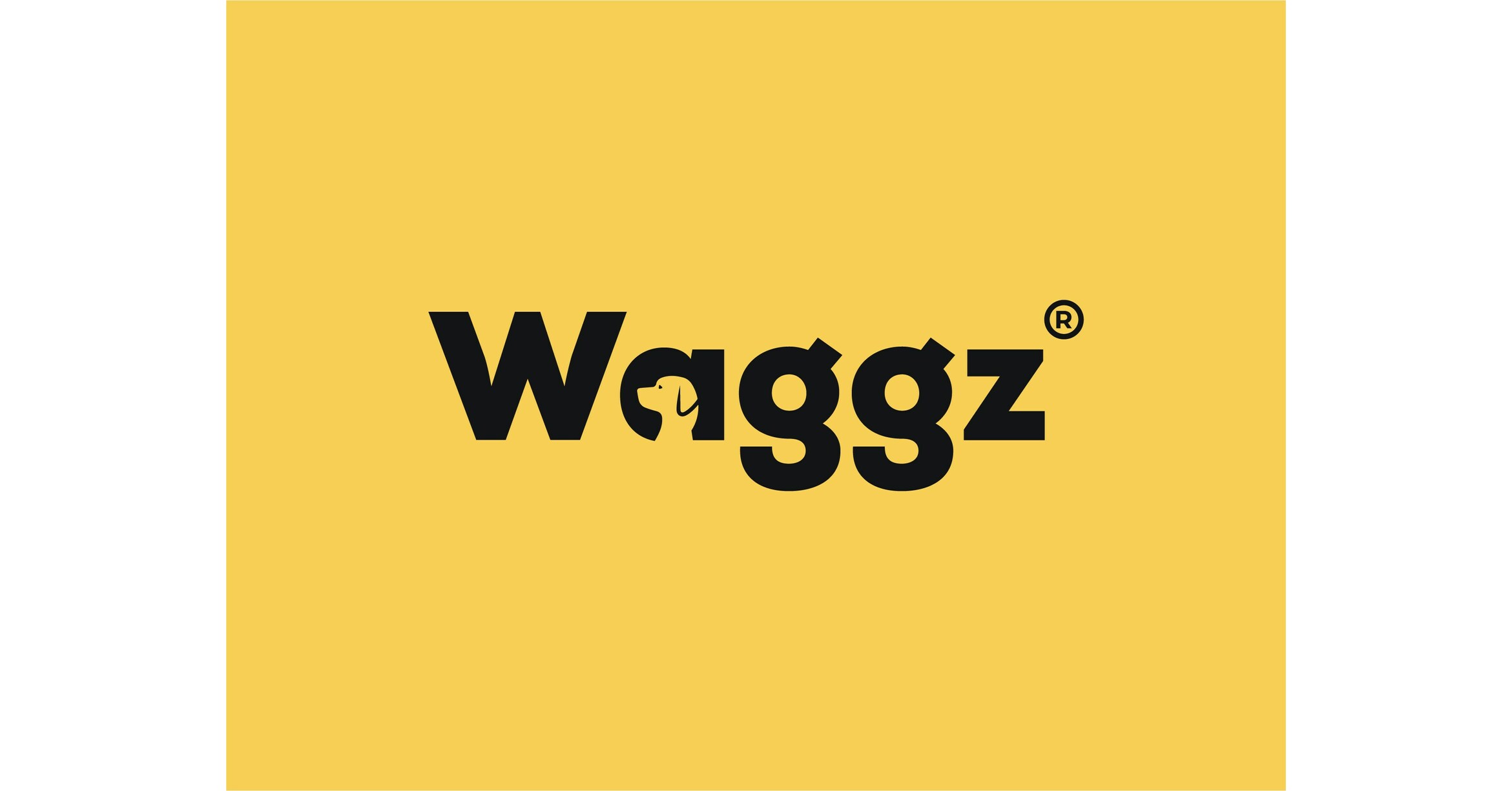 WAGGZ TRANSFORMED GROOMING EQUIPMENT STANDARDS WITH MEDICAL-GRADE TECH
