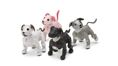 A group shot of different color aibo. ERS-1000 aibo (front L), ERS-1000B aibo Espresso Edition (front R), ERS-1000H aibo Black Sesame Edition (Back R) and ERS-1000P aibo Strawberry Milk Edition (Back L).