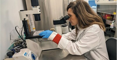 INRS Professor Maya Saleh. Credits: INRS (CNW Group/Institut National de la recherche scientifique (INRS)) INRS Professor Maya Saleh. Credits: INRS (CNW Group/Institut National de la recherche scientifique (INRS))