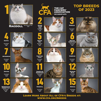 Come meet the 15 most beautiful cat breeds at The CFA International Cat Show and Expo on October 12-13, 2024 in Cleveland, Ohio where an impressive assembly of 15,000 cat enthusiasts will meet over 1000 cats from all over the world. Come explore 150,000 square feet of felines fun and indulge yourself in a variety of cat-centric activities, educational sessions, contests, and entertainment, while also browsing through offerings from over 150 vendors specializing in cat products and services.