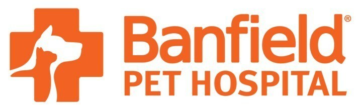 State of Pet Dental Health: Significant Majority of U.S. Dogs and Cats Have Oral Health Issues - Vimarsana News