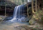 Sipsey Fork, Alabama: 49 Years of Protected Wilderness Waterfall Bliss