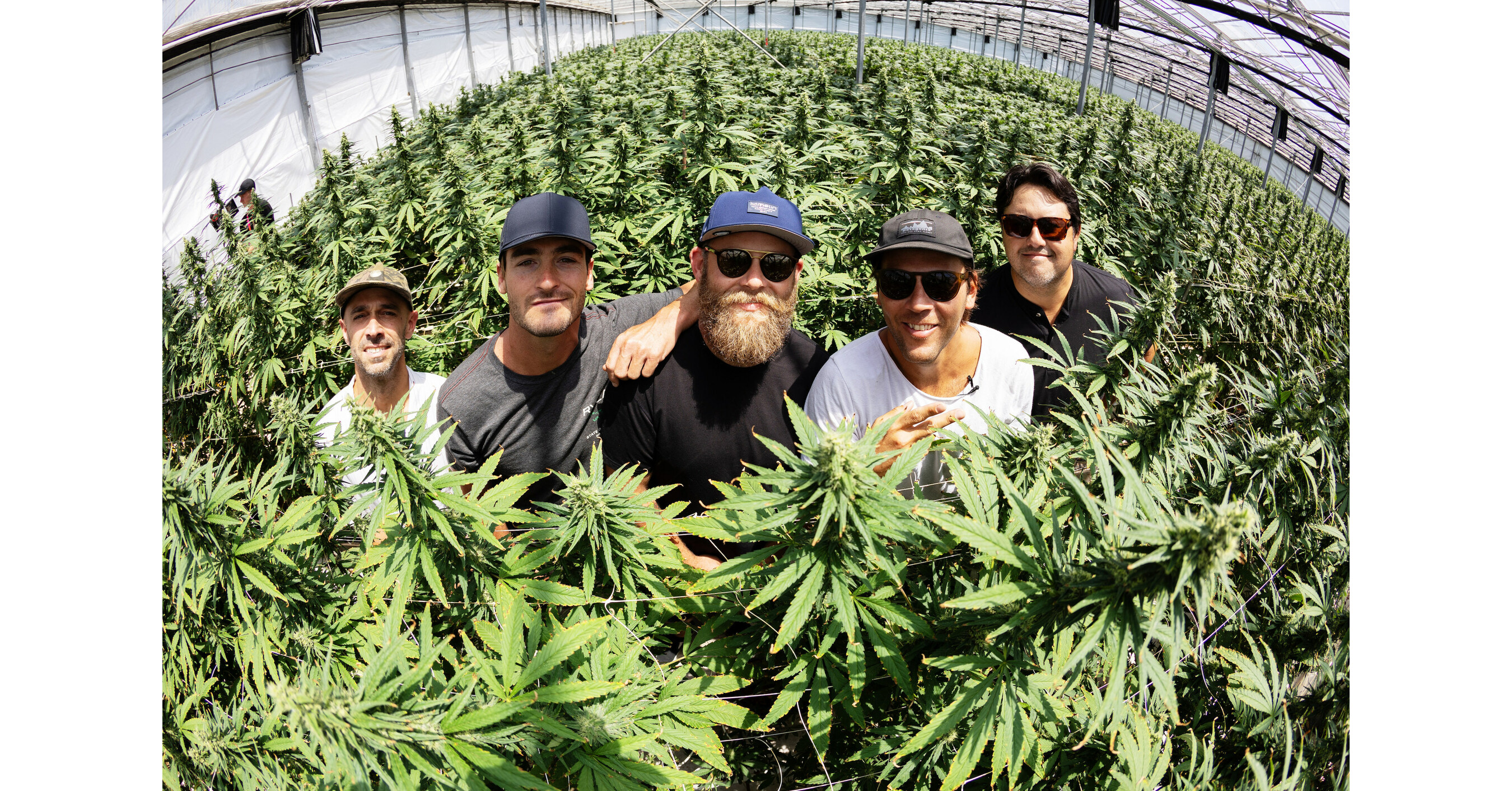Southern California Reggae Pop Band Iration Announce a Special Cannabis Collaboration with Autumn Brands Growers for a New Line of Premium Flower Strains